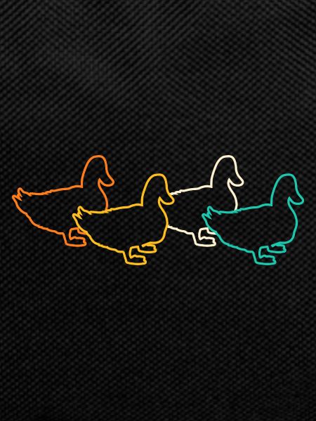 Ducks
