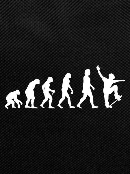 Evolution Skateboard Skater Skateboarder Gift