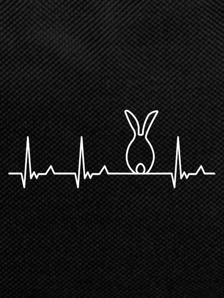 Heartbeat pet rabbit gift