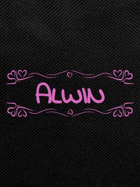 Alwin as a name