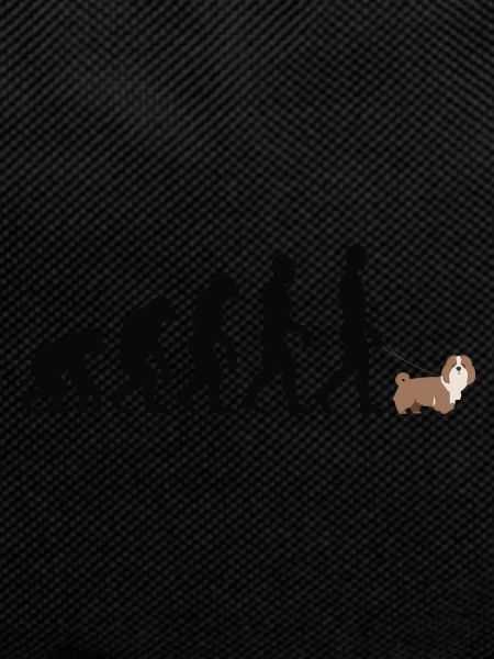 Lhasa Apso