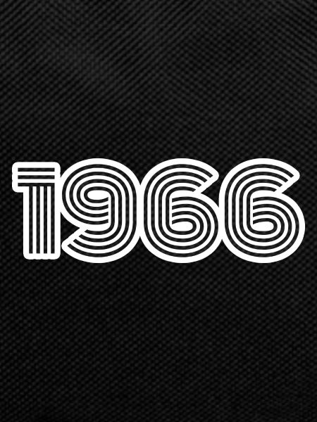 Year of birth 1966