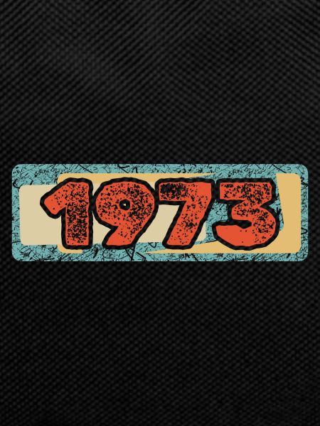 1973 1973