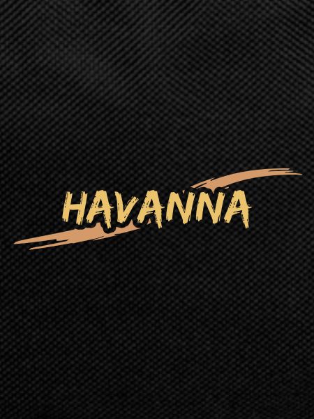 Havana Havana