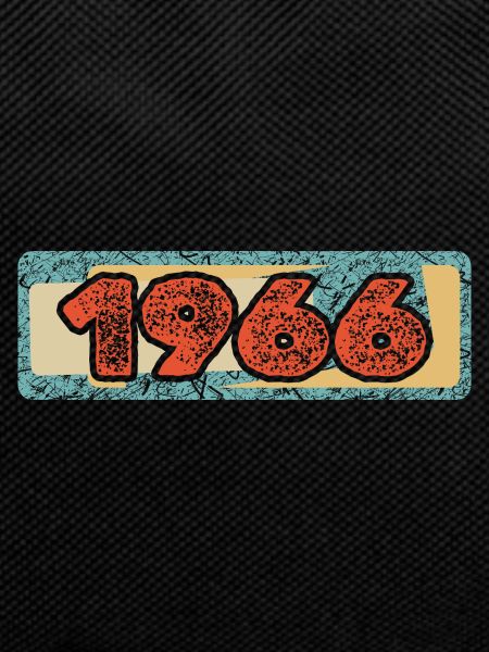 Year 1966