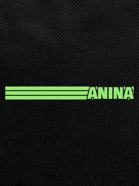 Anina