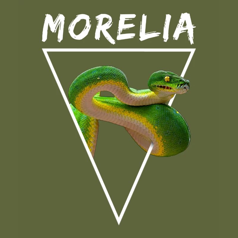 Grüner Baum Python Morelia Viridis Schlangenbesitzer