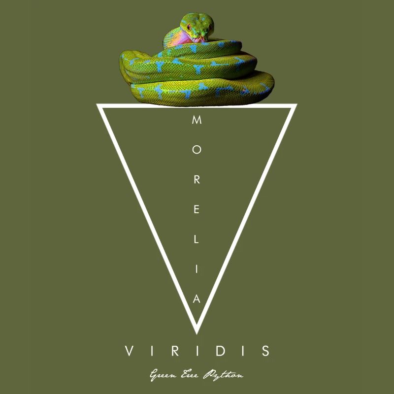 Green Tree Python Modern Geometric