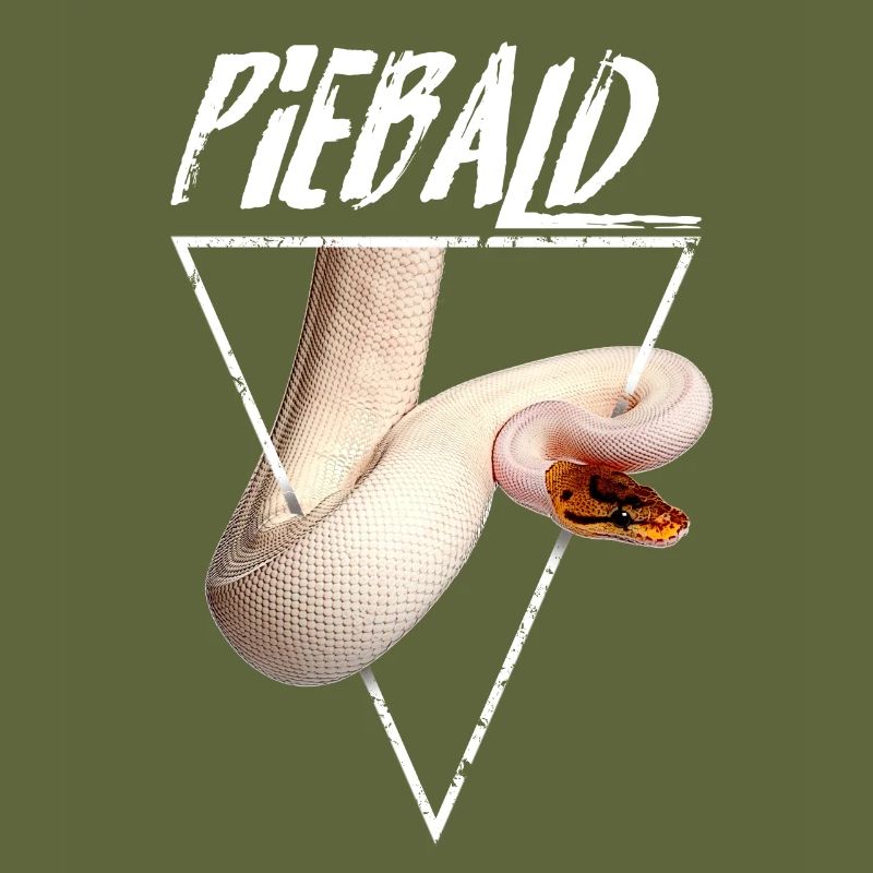 Piebald Ball Python Reptilienpfleger