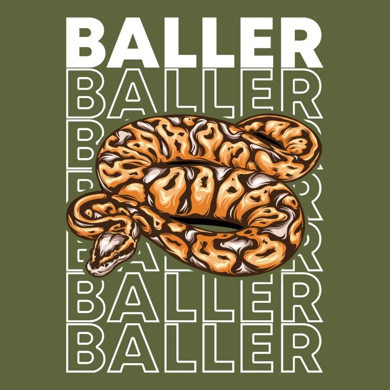 Ball Python 80's Style Baller Royal Python Snake