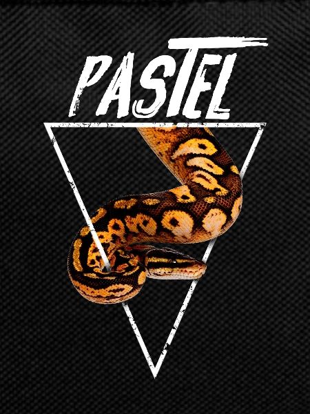 Pastel Ball Python Besitzer