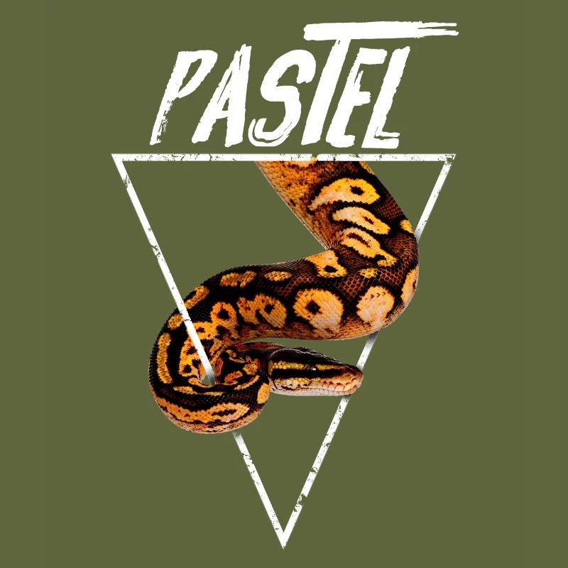 Pastel Ball Python Owner