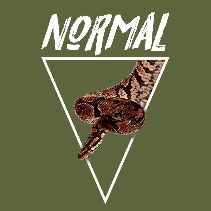 Normal Ball Python Morph Snake Owner
