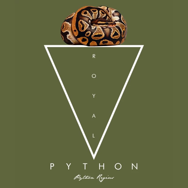Royal Python géométrique moderne gardien de serpent