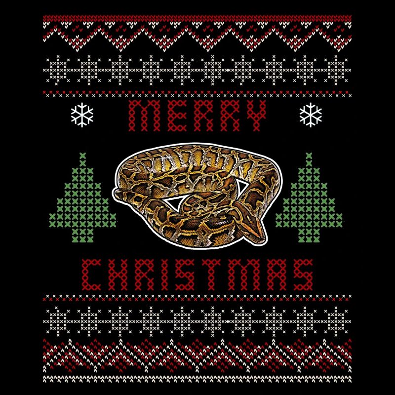 Noël Python birman