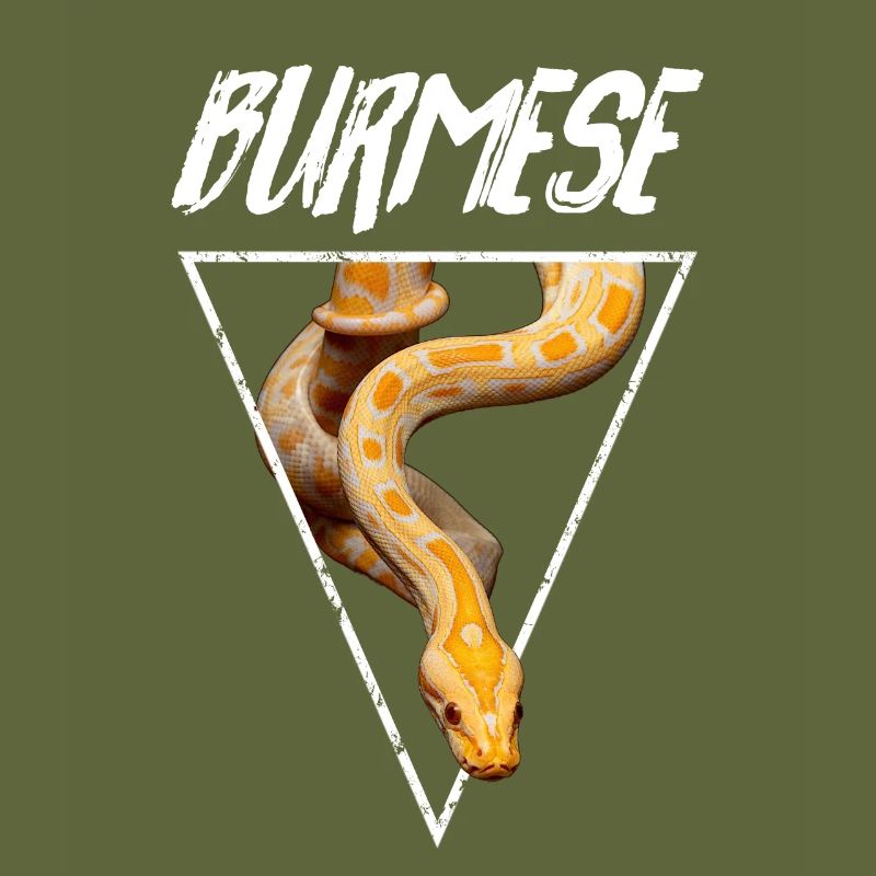 Propriétaire de serpent Python birman