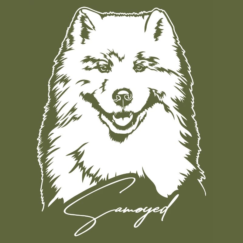Samoyed Portrait Hund Hunde Wilsigns