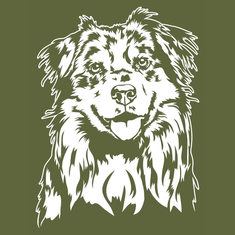 Australian Shepherd Aussie Portrait Hunde Wilsigns