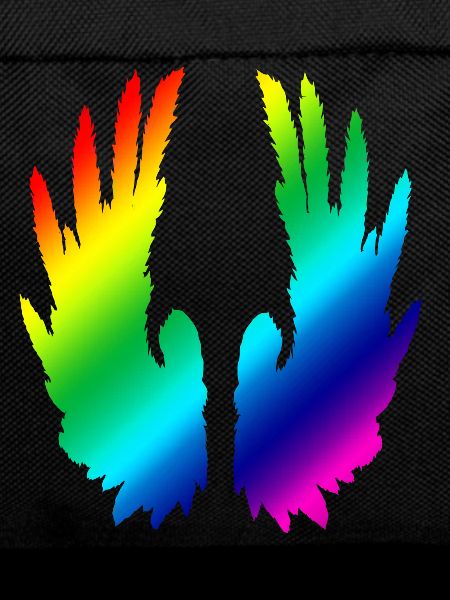 Ailes arc-en-ciel
