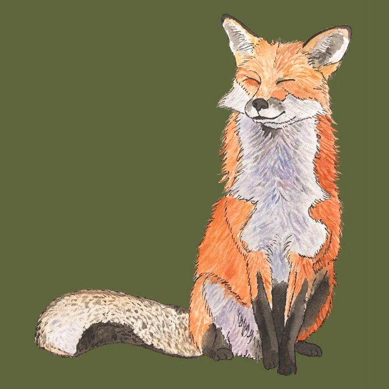 Fox sitting satisfied Fox smart foxes