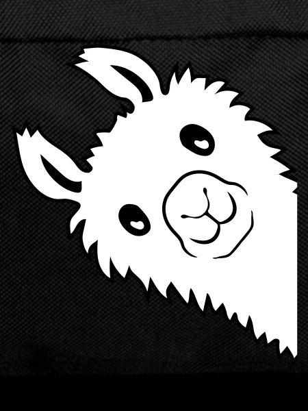 Lama looks sideways