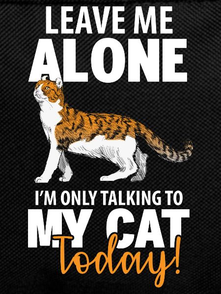 Cat Pet Cats