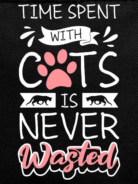 Cat Pet Cat Friend Mistress