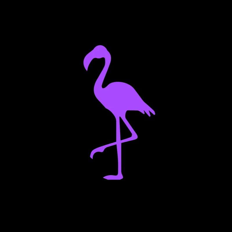 Éclaboussures de flamant rose