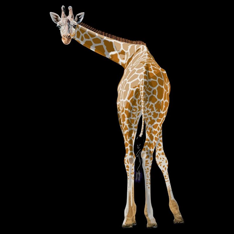 Giraffe grüßt aus der Savanne