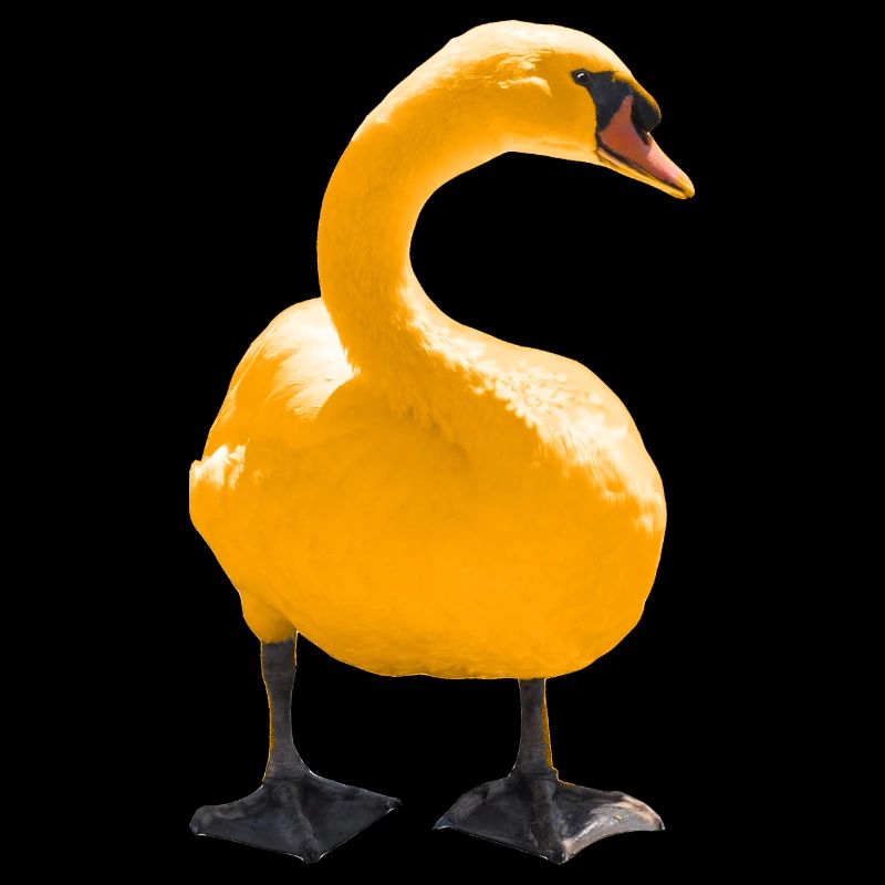 Eleganter Schwan Kunstdruck