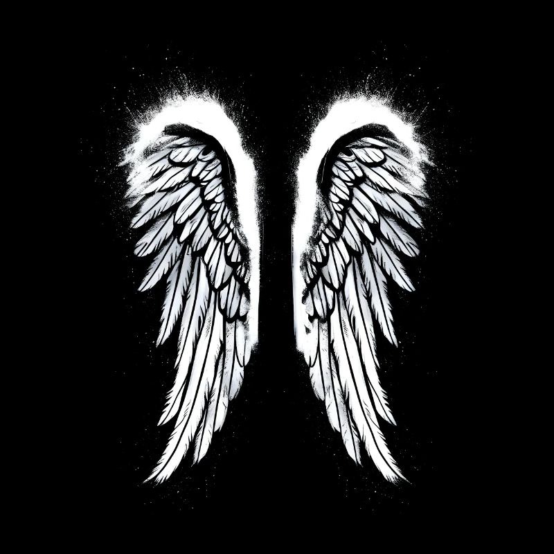 Ailes d’ange Ailes d’ange