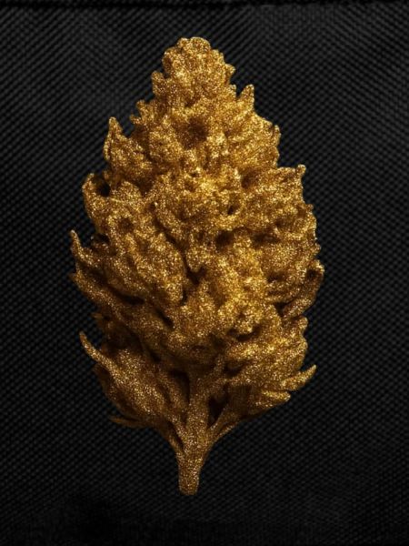Goldener Bud