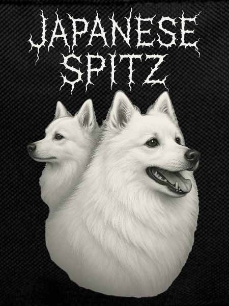 Spitz japonais