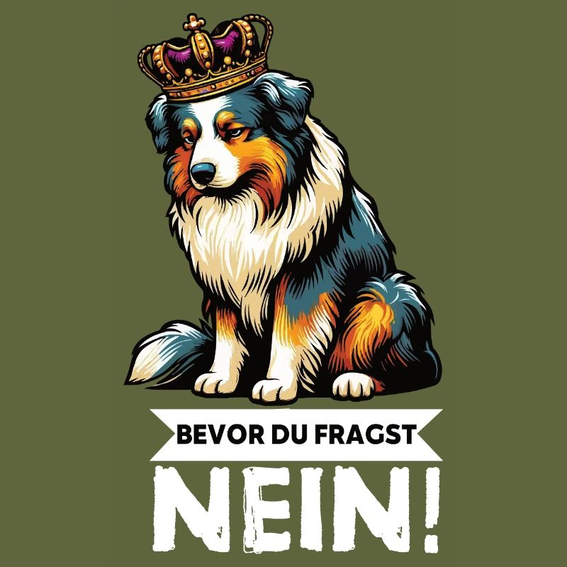 Bevor Du Fragst Australian Shepherd Aussie Aussie