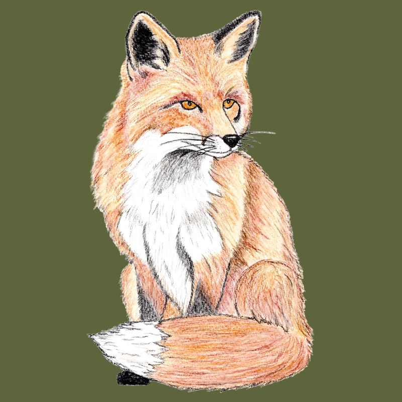 Kleiner Waldfuchs - ein sanfter Begleiter