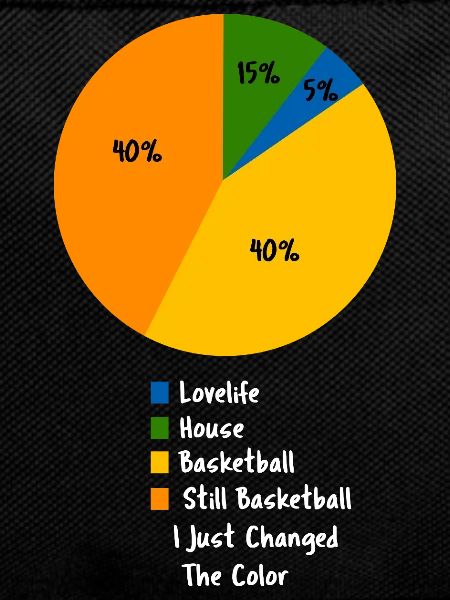 Funny Basketball Life Pie Chart Design