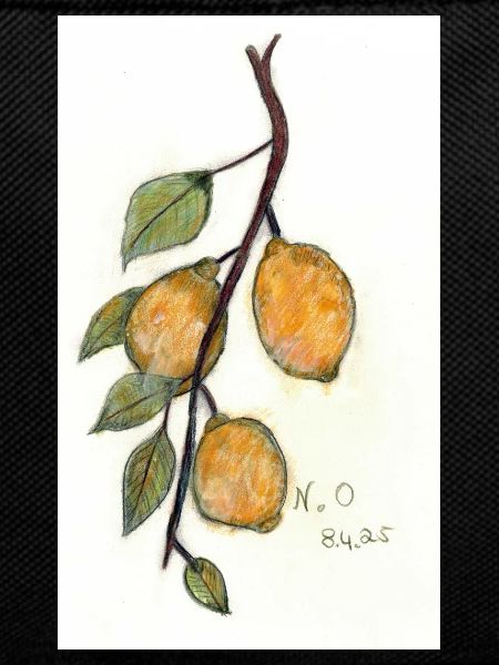 Lemon bush
