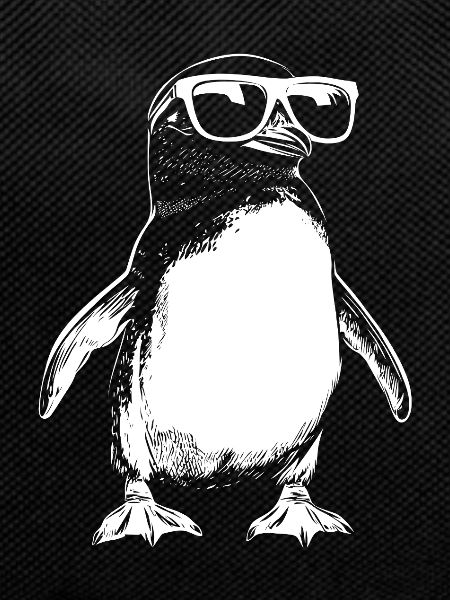Funny Penguin Sunglasses Summer