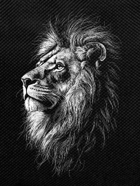 Lion Silhouette Drawing