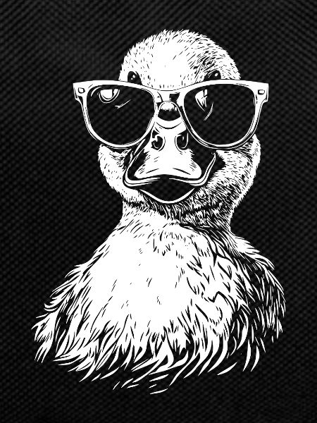 Cool Duck Sunglasses Summer Graphic