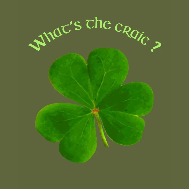 QU’EST-CE QUE LE CRAIC?
