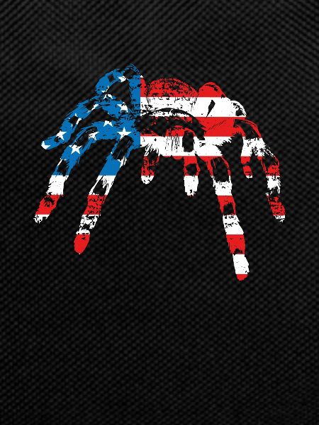 Tarantula Usa America