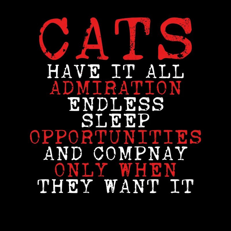 Cats have all admiration