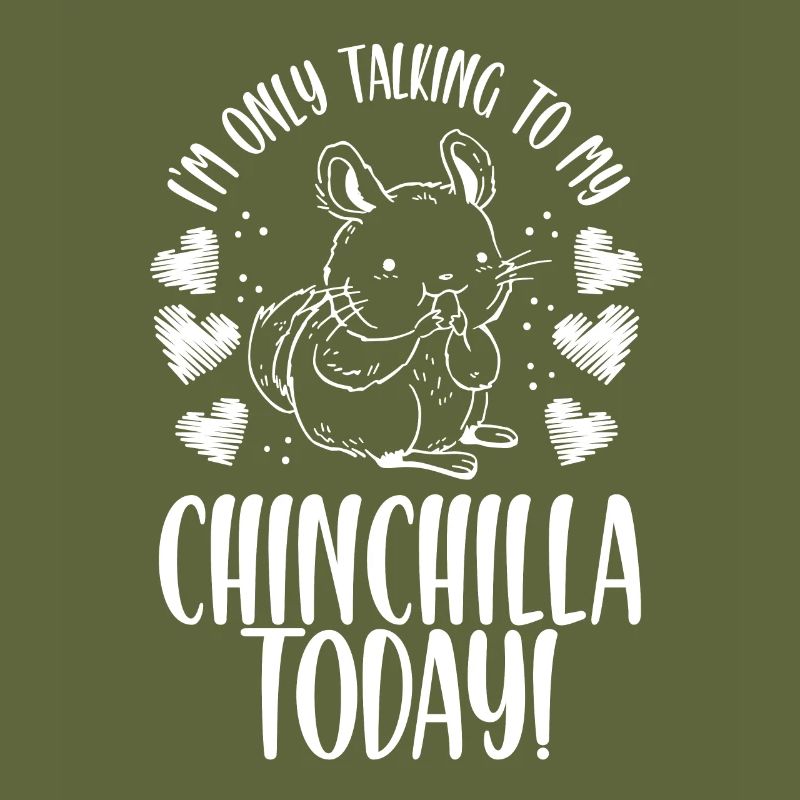 Beautiful Chinchillas Today