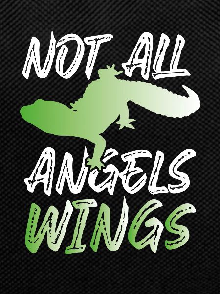 Not all angels have wings