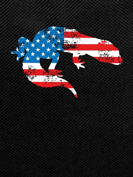 Lizard Usa America