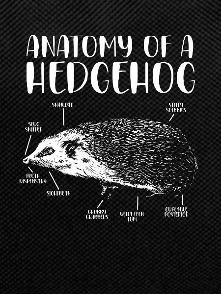 Anatomie d’un hérisson