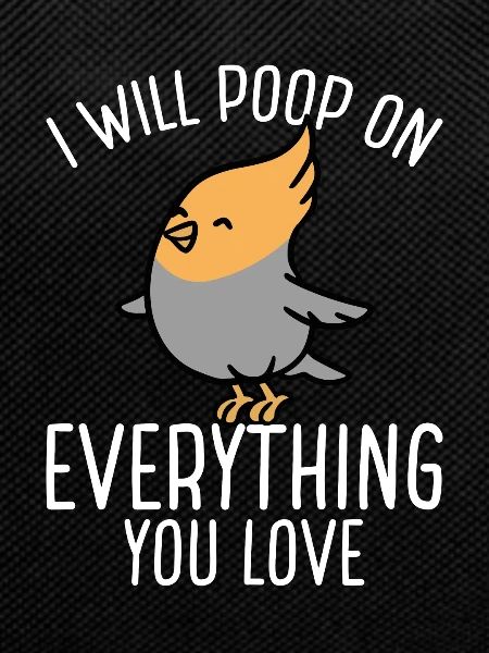 Parrot will poop on everything