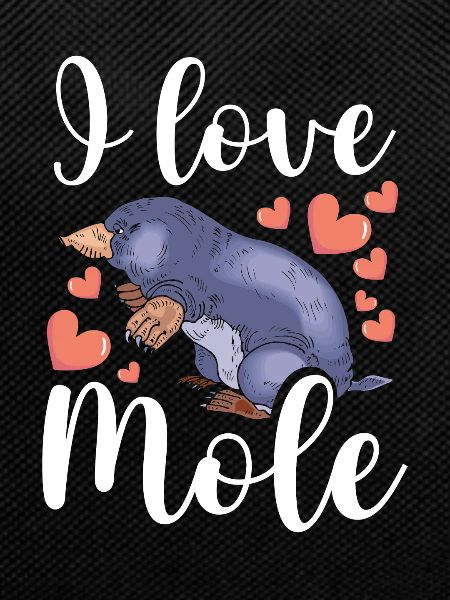 I love mole