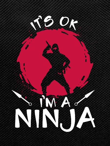 It's ok, I'm a ninja